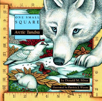 One Small Square Arctic Tundra