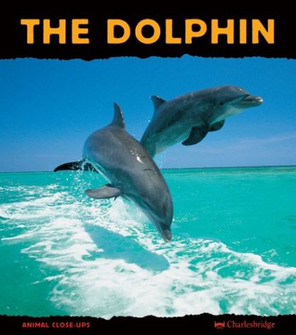 The Dolphin