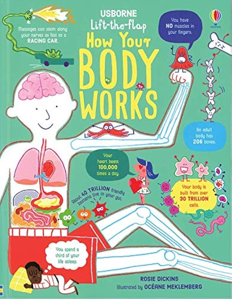 Usborne Advanced Lift-the-Flap : How Your Body Works