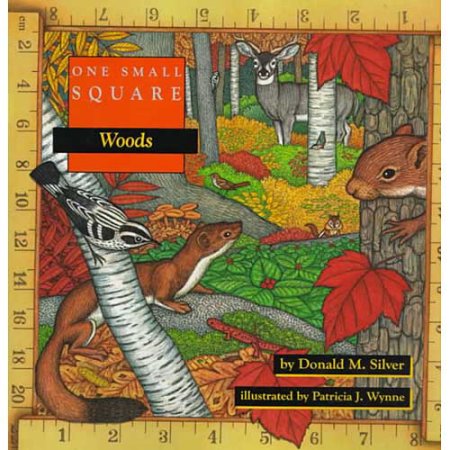One Small Square Woods