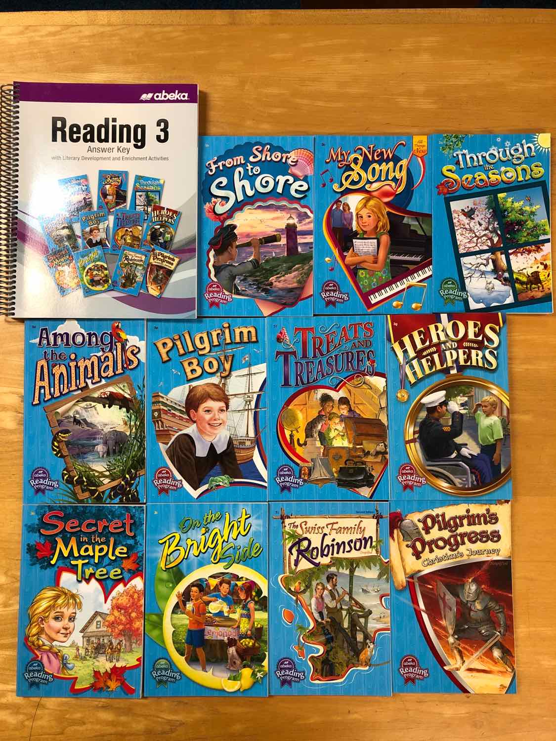 Abeka Grade 3 Reading Comprehension (Set of 12)