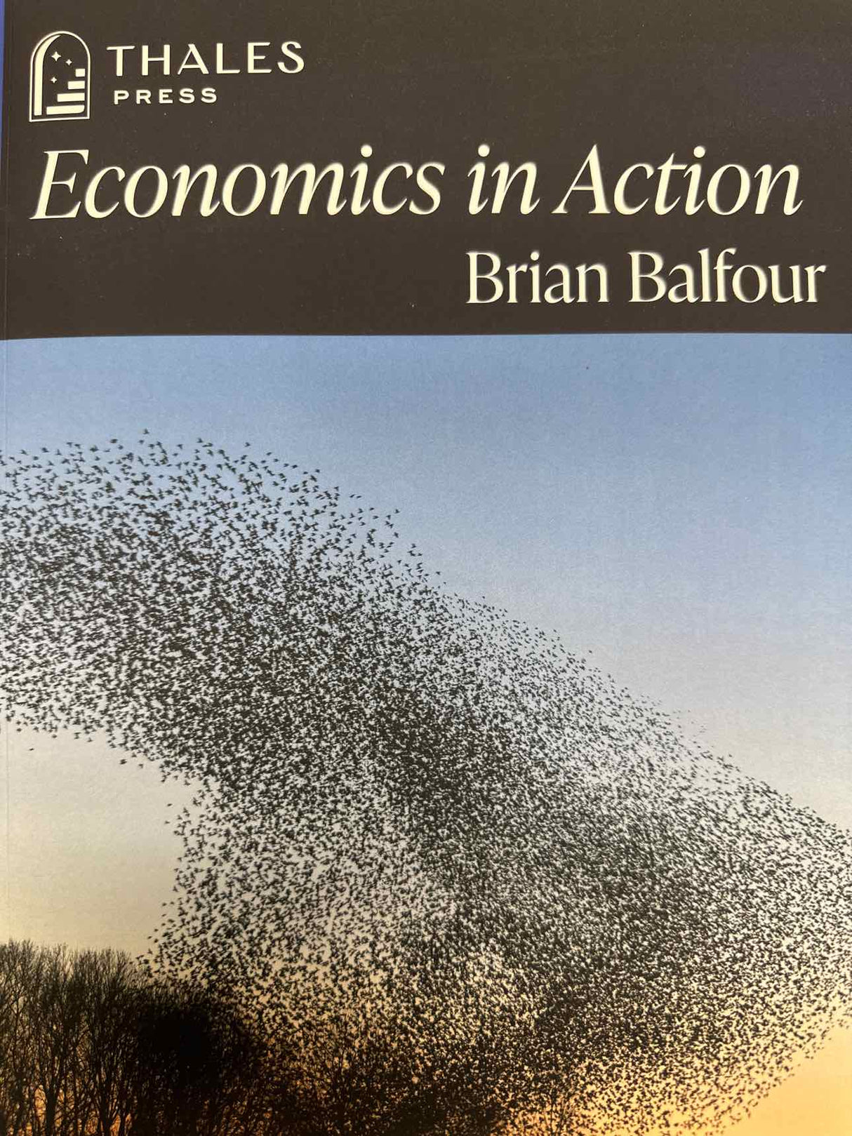 ECONOMICS IN ACTION