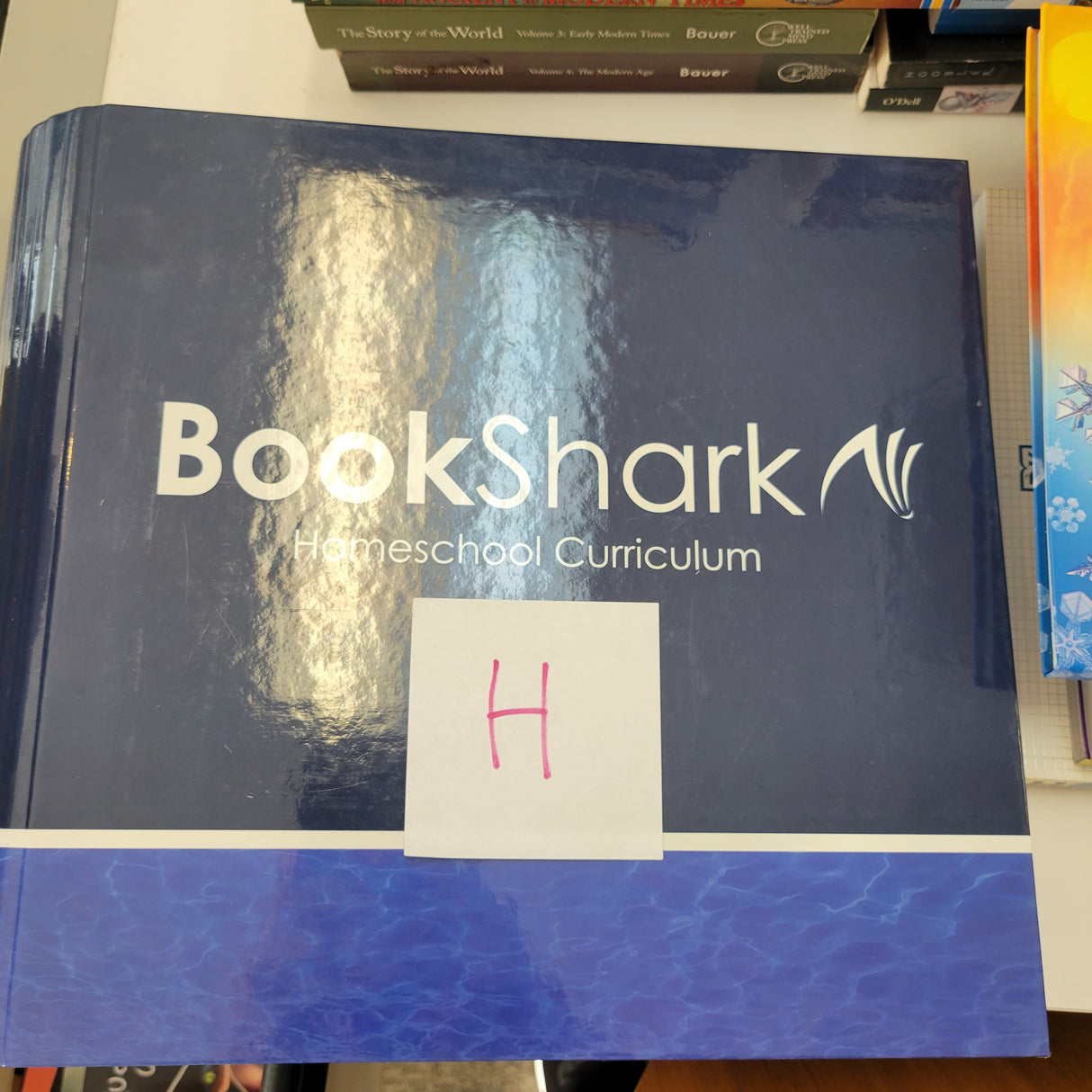 Bookshark Level H History, Language Arts IG and Literature books (Set of 31) n