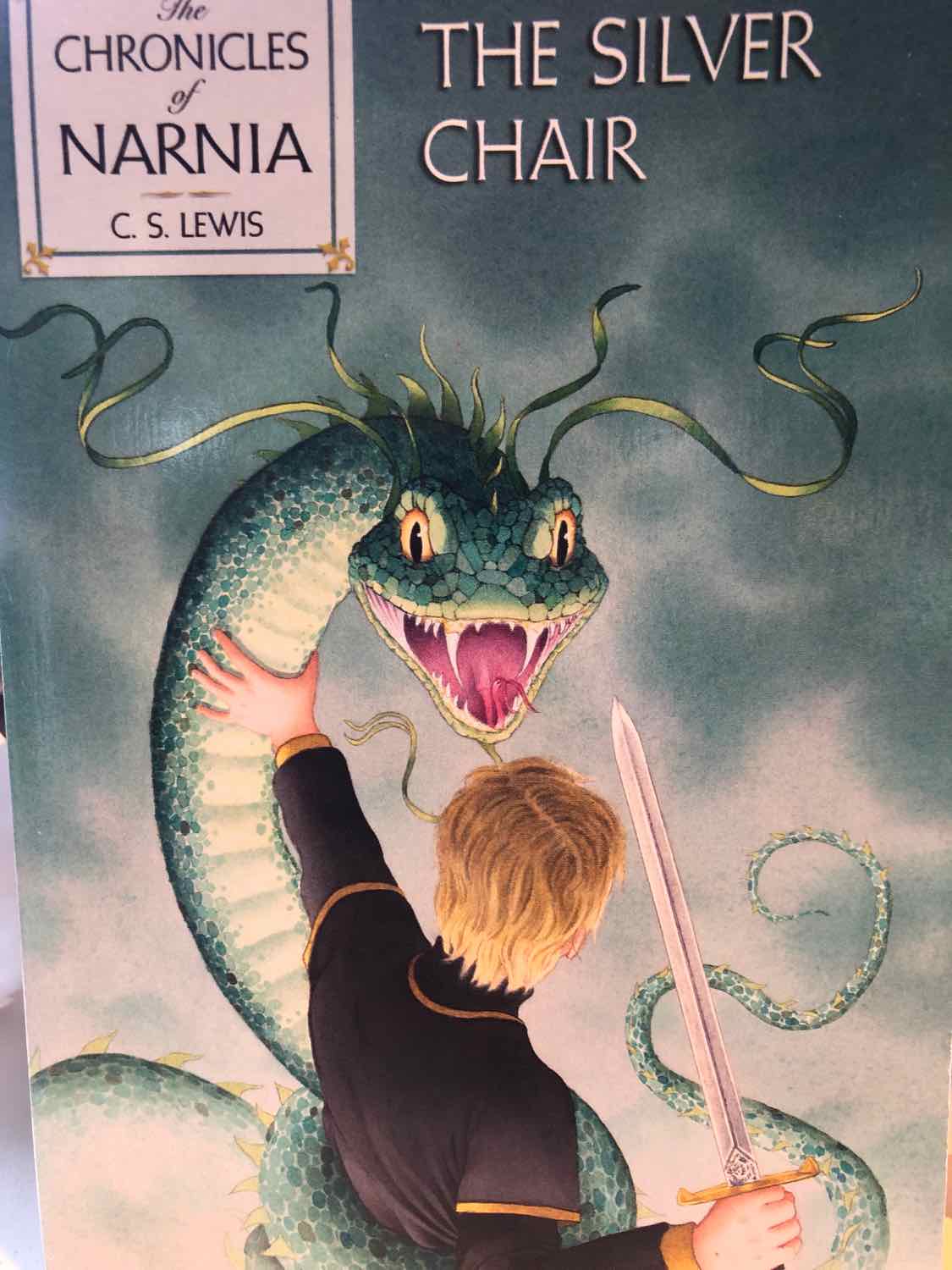 The Silver Chair