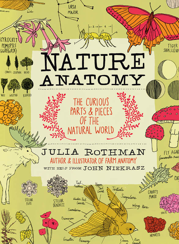 Nature Anatomy The Curious Parts & Pieces of the Natural World
