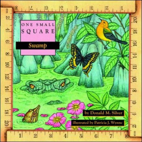 One Small Square Swamp