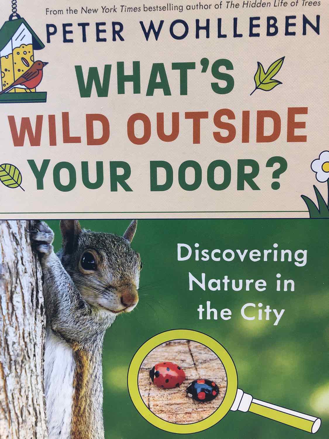 What's Wild Outside Your Door? : Discovering Nature in the City
