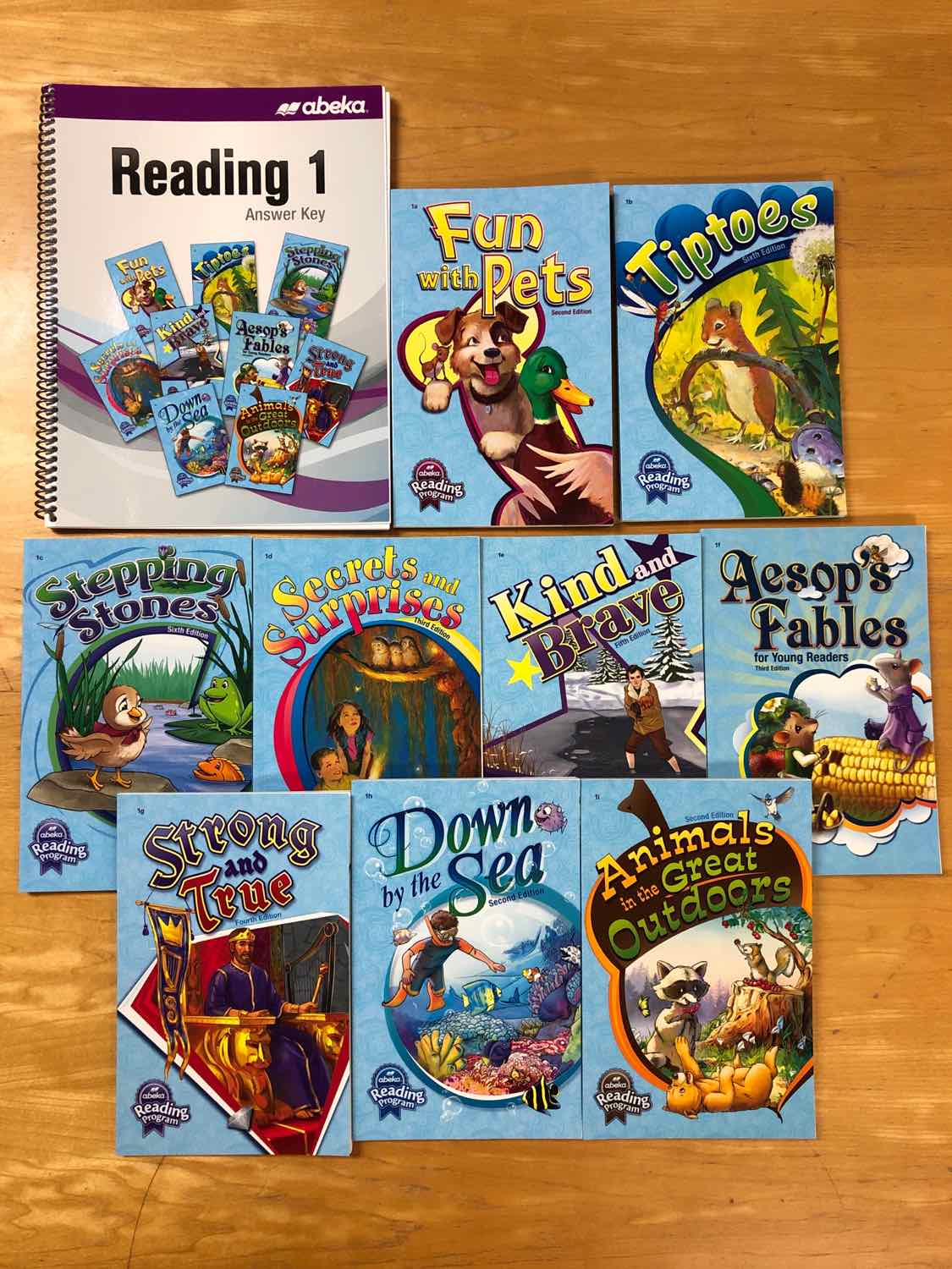 Abeka Grade 1 Reading Comprehension (Set of 10)