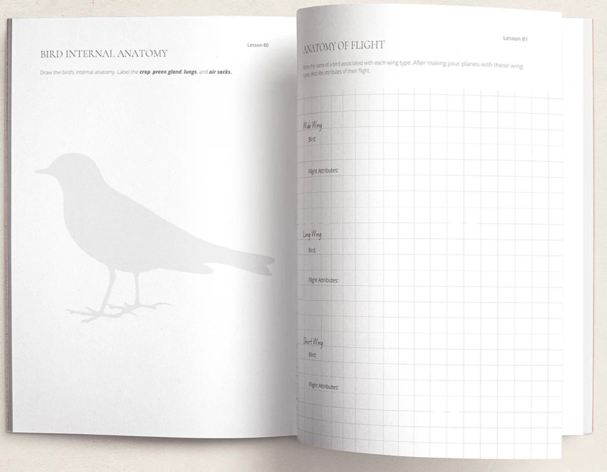 FAR AFIELD LOGBOOK