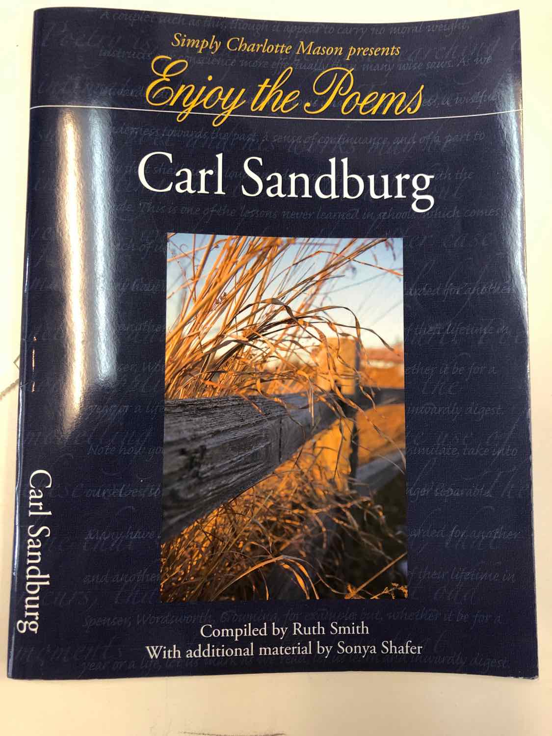 Enjoy the Poems: Carl Sandburg