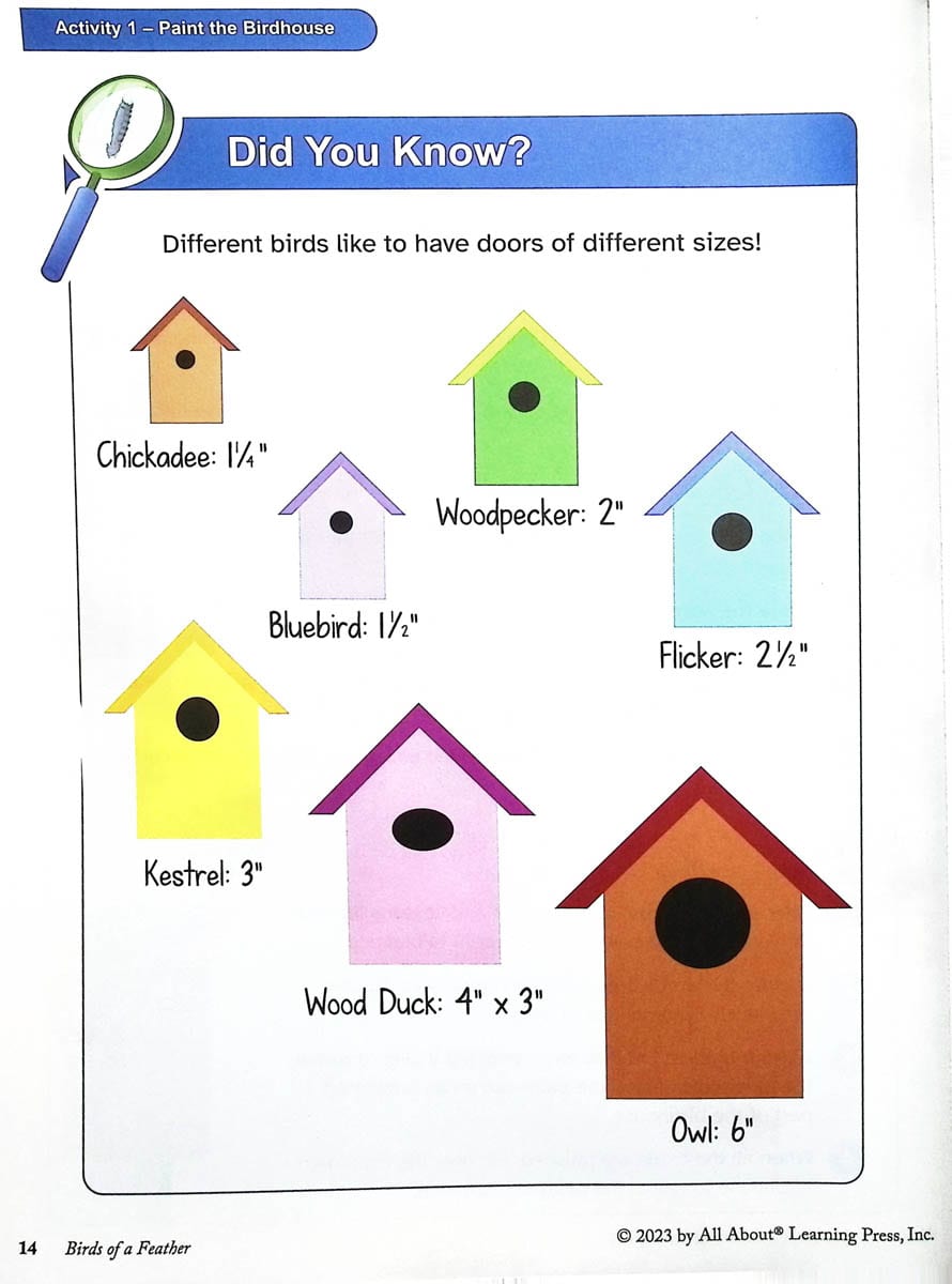 BIRDS OF A FEATHER REVIEW BOOK