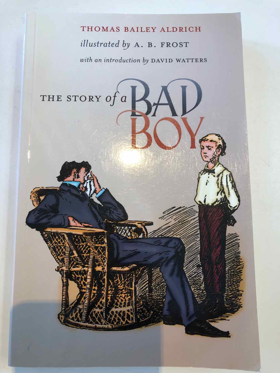 The Story of a Bad Boy