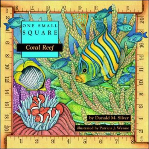 One Small Square Coral Reef