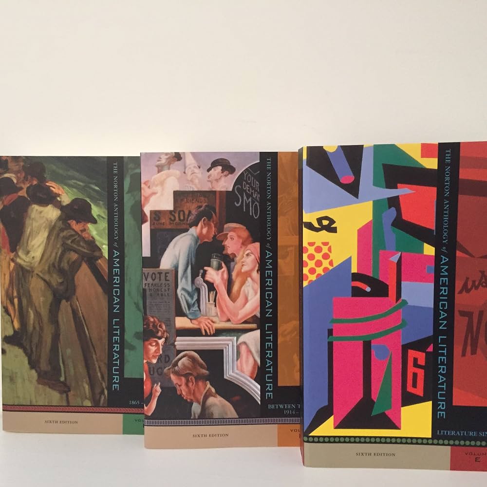 Norton Anthology of American Literature Box Set of 3, C, D, E 6th edition