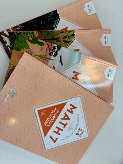 Good and Beautiful Math 7 set of 4