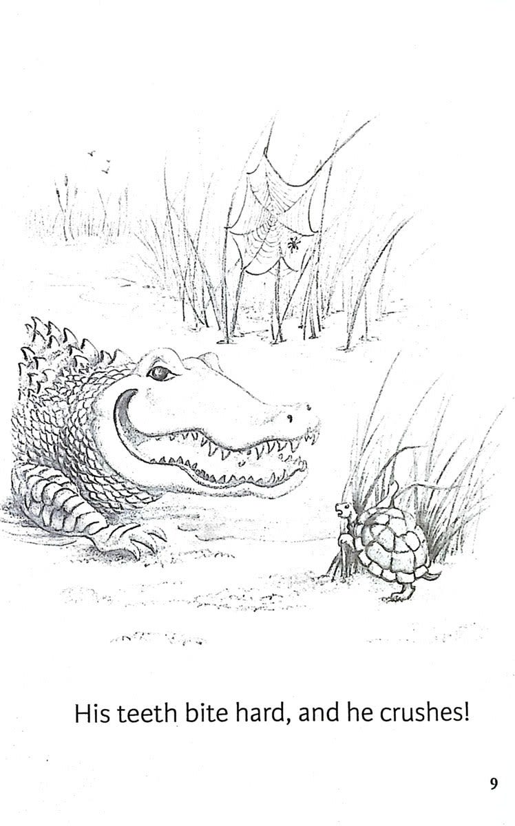 ALL ABOUT LEARNING PRE-READING READER THE ZIGZAG ZEBRA