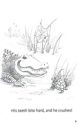 ALL ABOUT LEARNING PRE-READING READER THE ZIGZAG ZEBRA