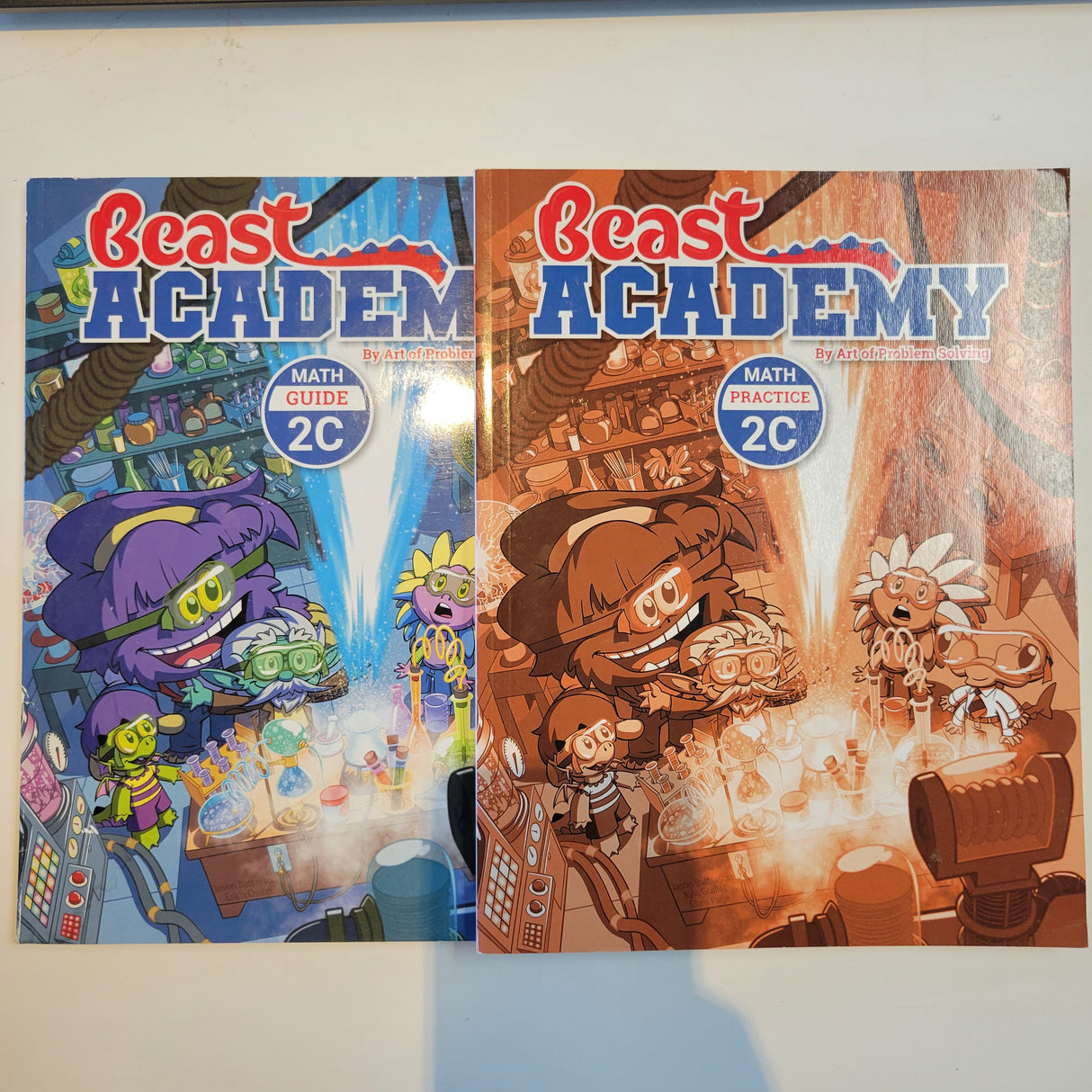 Beast Academy Level 2C Guide and Practice book (Set of 2)