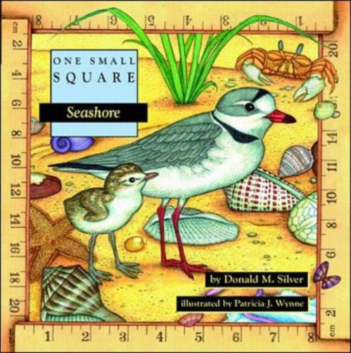 One Small Square Seashore