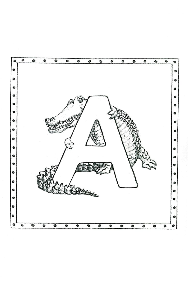 ALL ABOUT LEARNING PRE-READING READER THE ZIGZAG ZEBRA