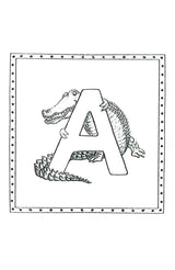 ALL ABOUT LEARNING PRE-READING READER THE ZIGZAG ZEBRA