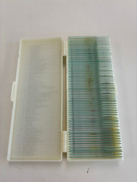 Microscope Slides- Insect/Plant/Human tissue/Microorganisms