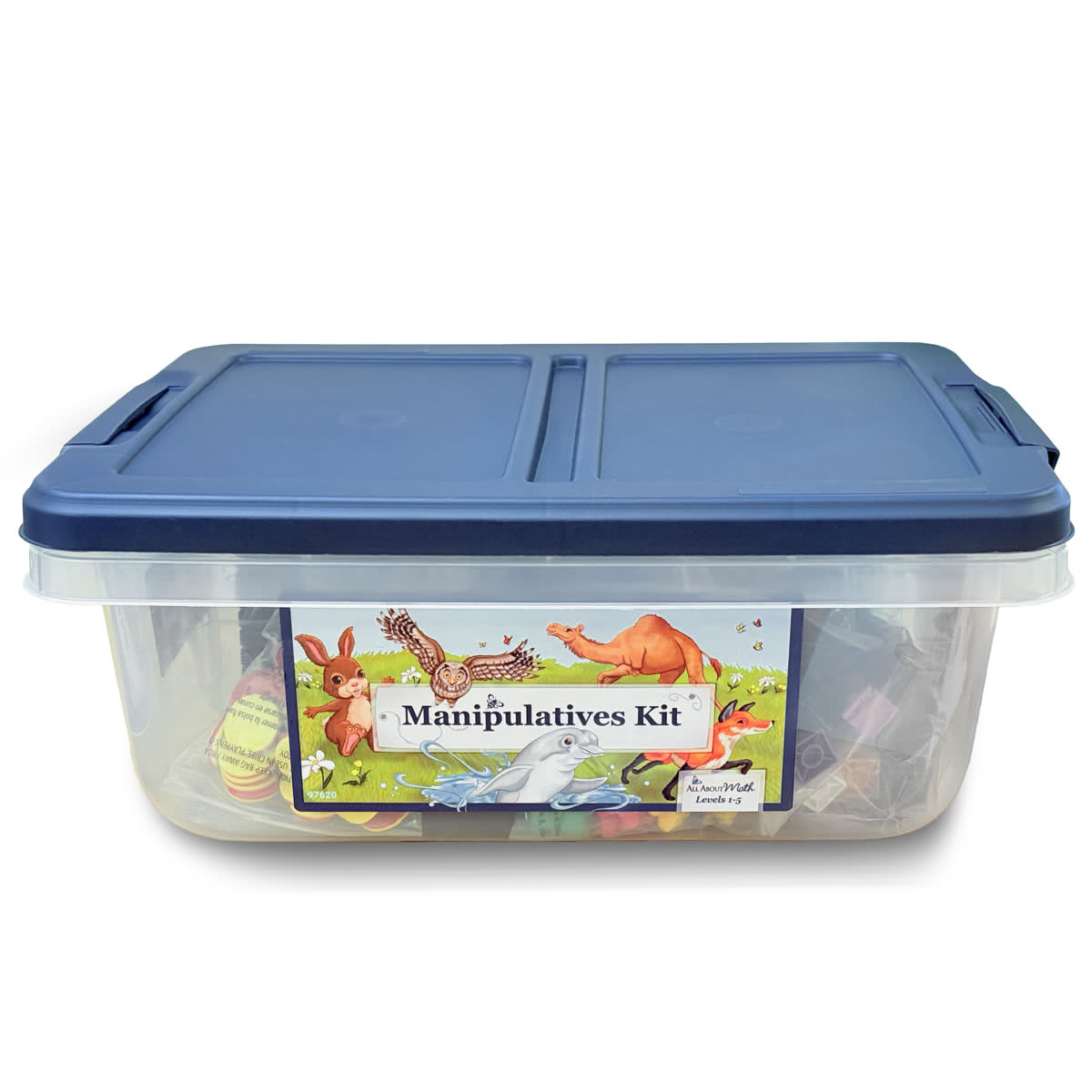 ALL ABOUT MATH MANIPULATIVE  KIT