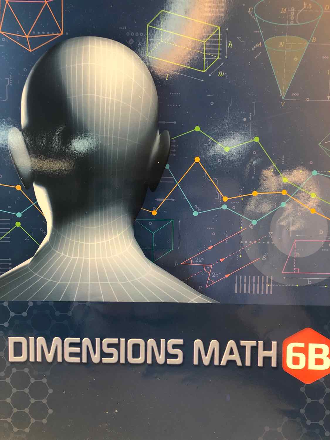 Dimensions Math Textbook 6B